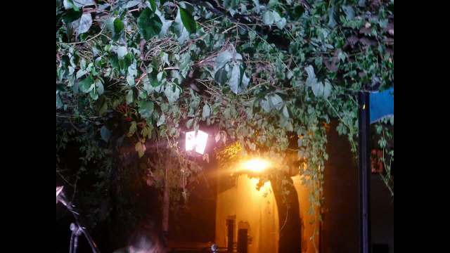 ROBINSONNE : Des mots (Barjac, Chansons de Parole, 2014)