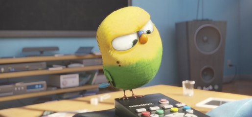 The Secret Life of Pets (2016) Full Movie HD 1080p