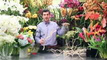 Flower Arrangements - How Do I Create Wedding Centerpieces!