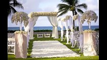 Soft Spoken Wedding Planner Role Play 2 - places and floral arrangements