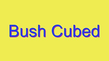 How to Pronounce Bush Cubed