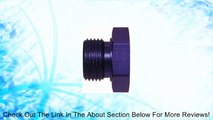 Earl's 581406 Blue Anodized Aluminum -6AN O-ring Seal Port Plug Adapter - Set of 2 Review