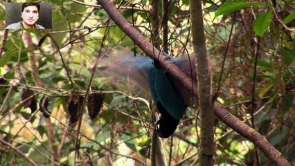 Kalam e Iqbal By Shehzad Roy خودی کا سرِ نہاں لا الہٰ الا اللہُ