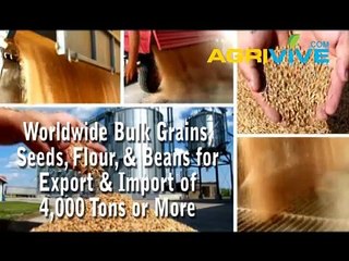 Large Scale Sesame Seeds Sales, Sesame Seeds Export, Sesame Seeds Milling, Sesame Seeds, Sesame Seeds Mill, Sesame Seeds Mill, Sesame Seeds