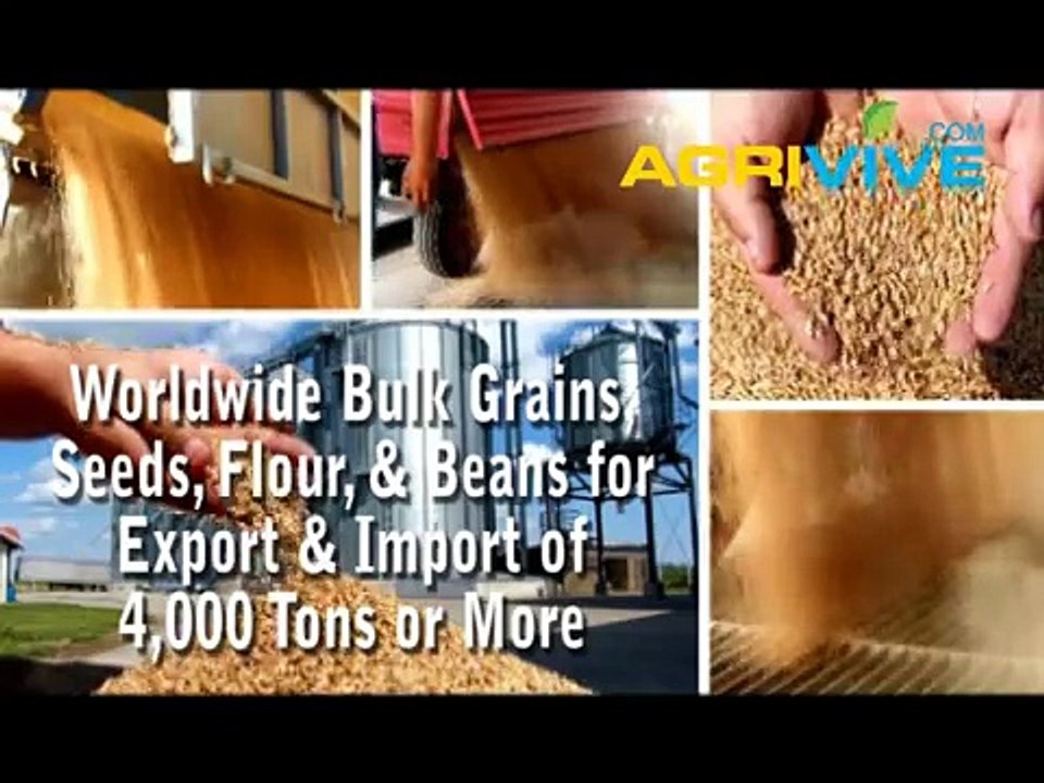 USA Wholesale Sesame Seeds Broker, USA Sesame Seeds Export, Bulk USA Sesame Seeds Seed, Bulk USA Sesame Seeds, USA Sesame Seeds Sales Bulk