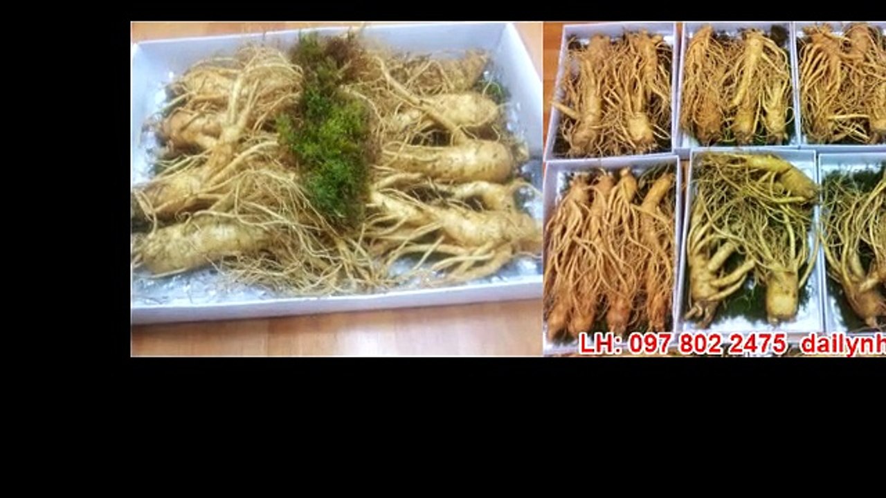 Cách dùng nhân sâm Hàn Quốc cực hay mà bạn nên biết