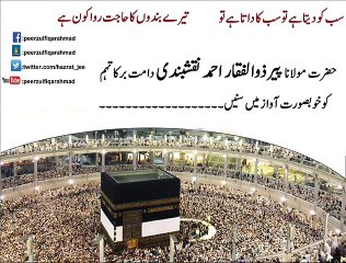 Hajat Rava Kon Hai, Peer Zulfiqar Ahmad (db)