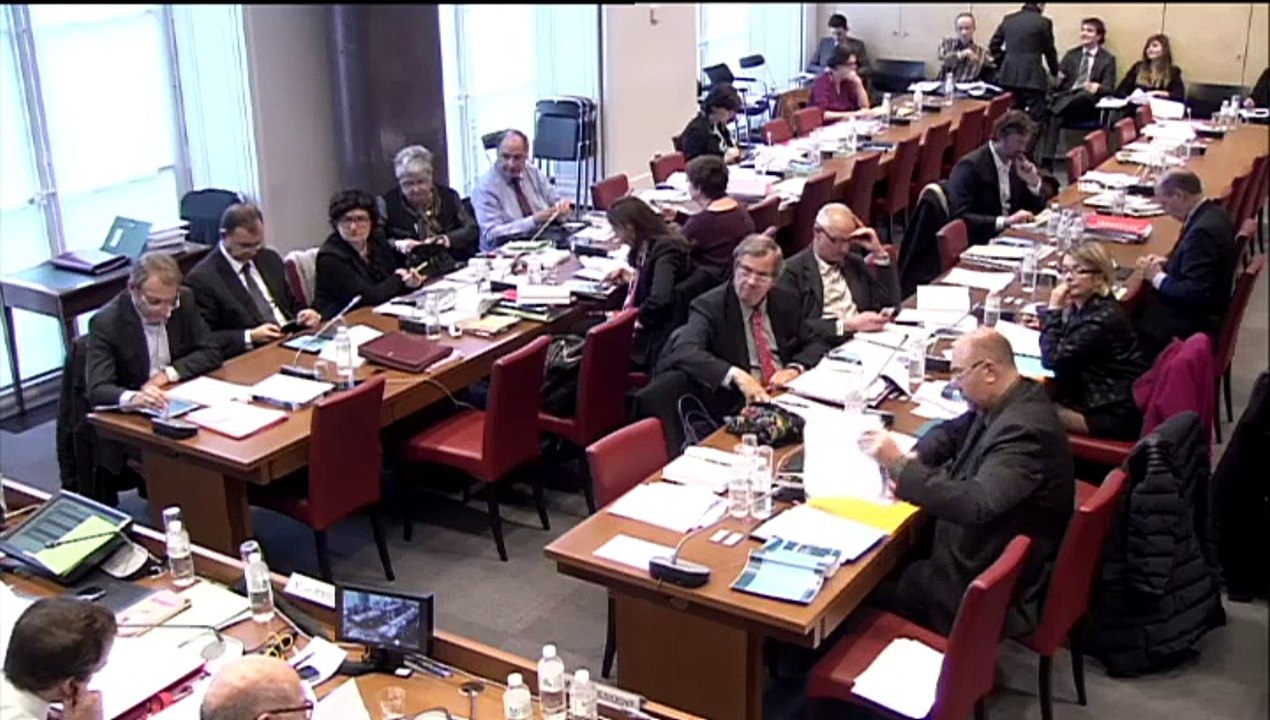 Commission spéciale croissance et activité - Samedi 17 Janvier 2015