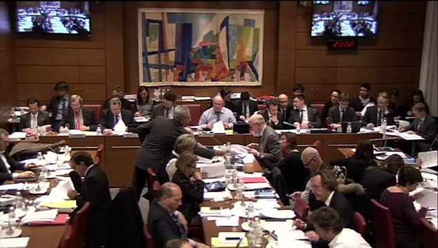 Commission spéciale croissance et activité (suite) - Samedi 17 Janvier 2015