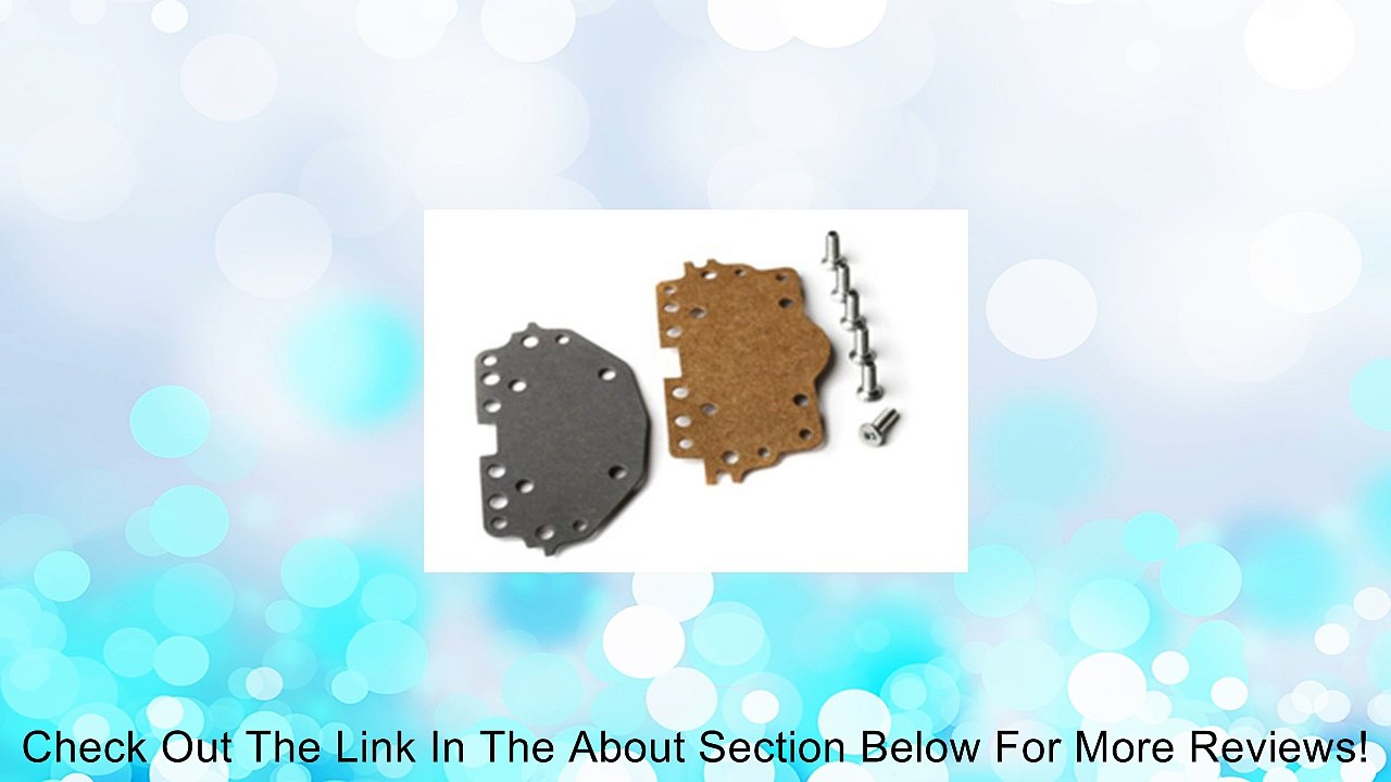 Holley 26-123 Metering Plate Screws and Gaskets Review