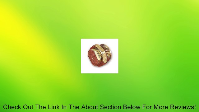 Holley 26-18-2 Fuel Inlet Plug Review