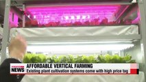Local researchers develop efficient, affordable multilayer cultivation system
