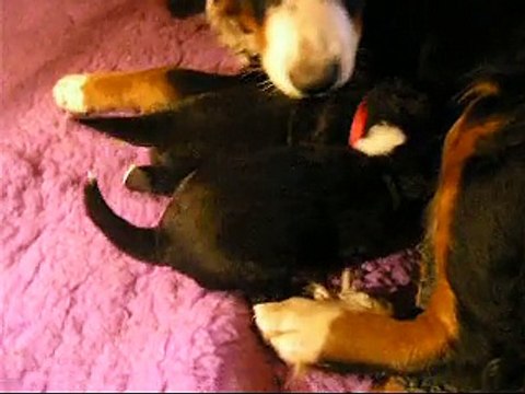 17 janv les bébés à la tétée