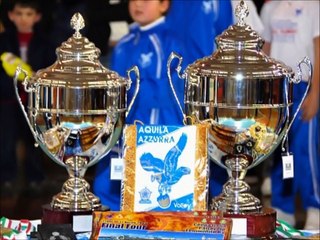 Campionesse d'Italia 2008-2009