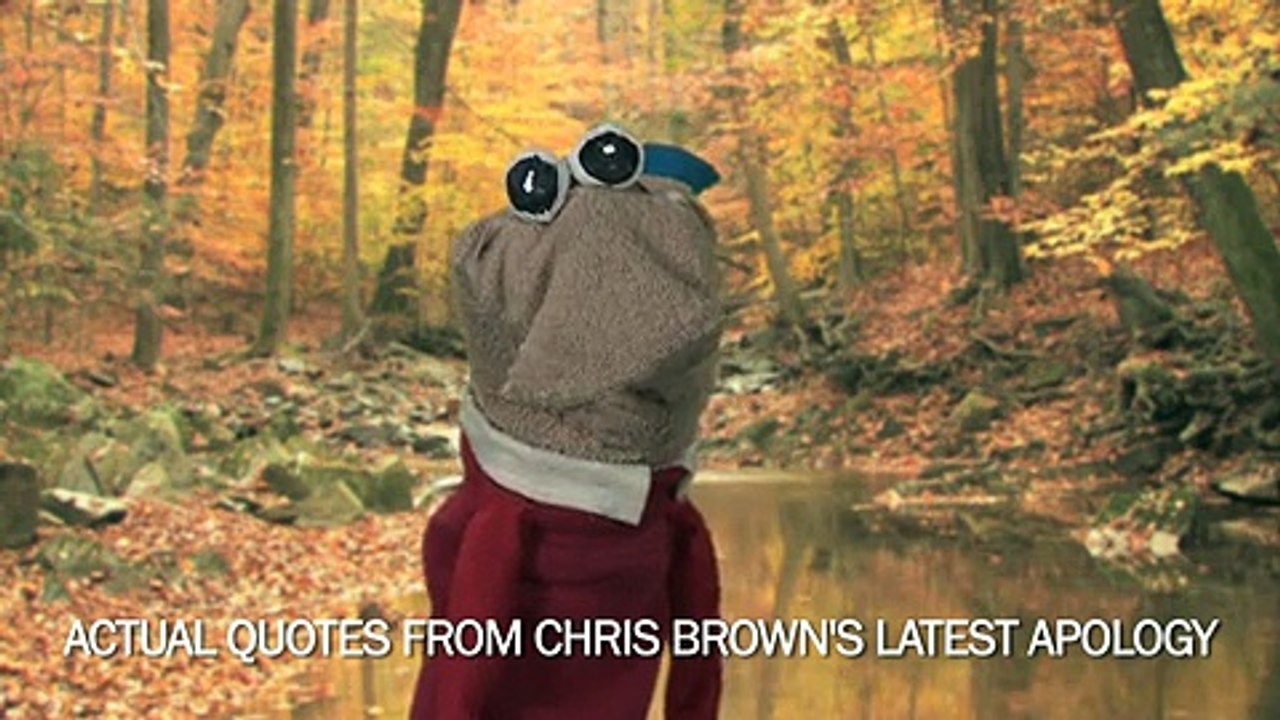 EPIC SOCK PUPPET FIGHT! - Celebrity Sock Puppet Theatre