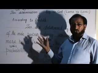 SEX DETERMINATION IN  HUMANS. (BOY  OR GIRL)