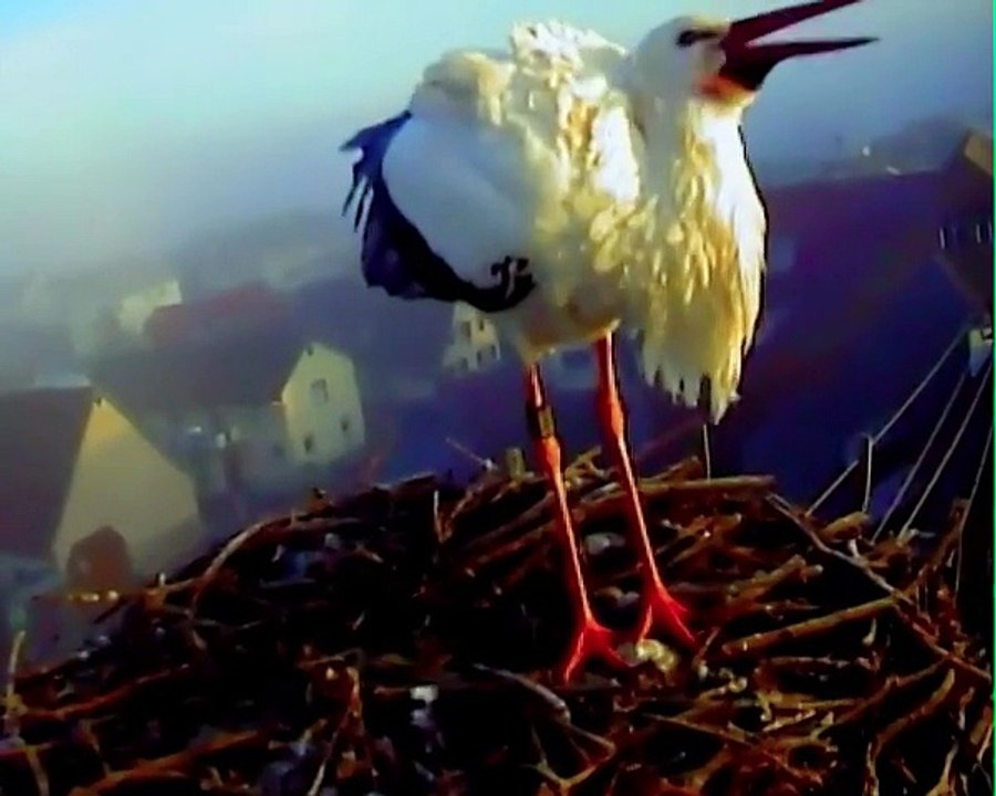 18.01.15  Lara superstar nr3