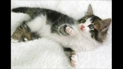 카지노필승전략【 Ｗ­Ｏ­Ｗ­８­８­０。­Ｃ­Ｏ­Ｍ 】보스카지노