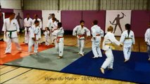 Andeville, démonstration Judo Jujitsu aux voeux du Maire, janvier 2015.