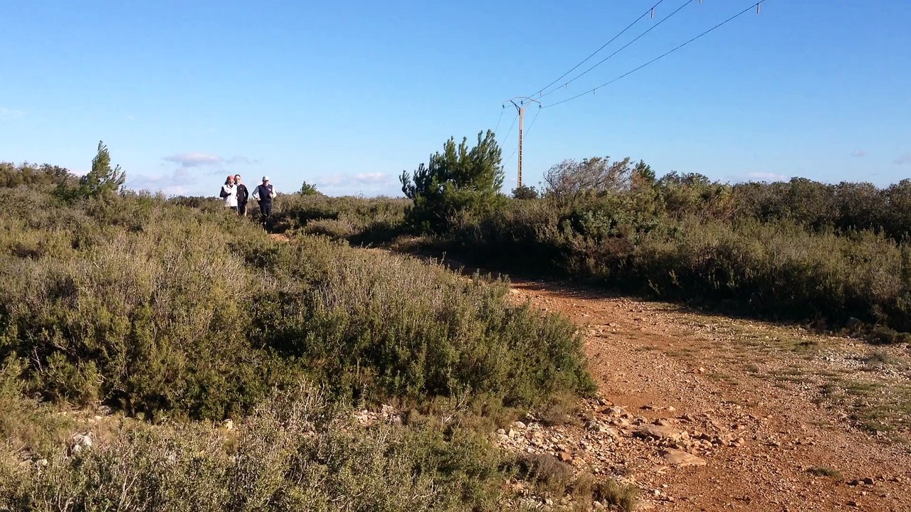 Entrainement Trail