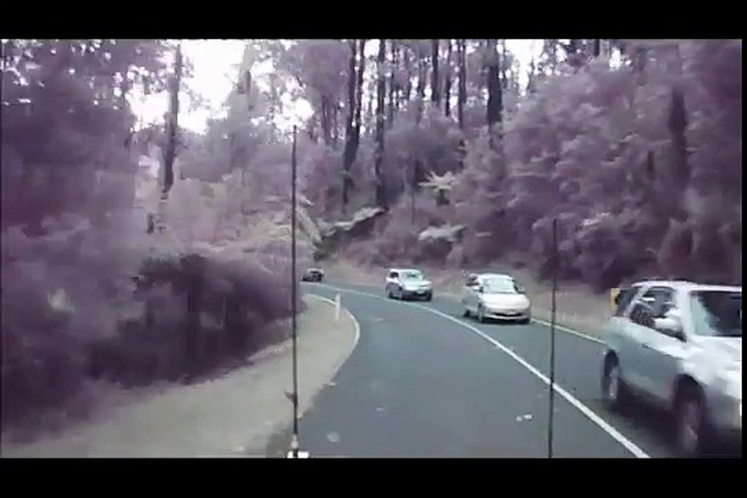 Une dizaine d'arbres tombent en travers de la route juste devant une voiture