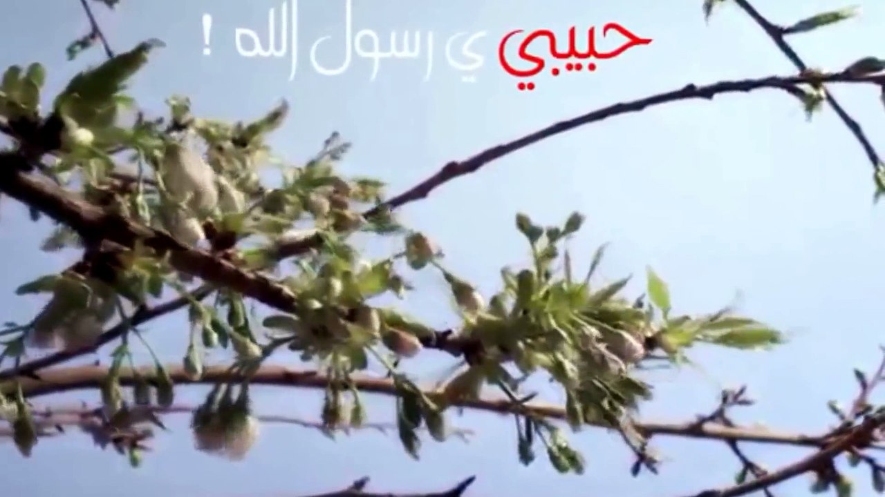 احبك يارسول الله