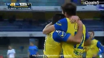 Pellissier Goal Chievo 1 - 1 Fiorentina Seria A 18-1-2015