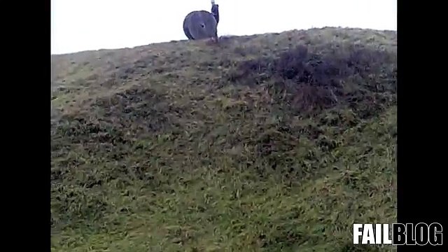 FAIL Blog They See Me Rollin' FAIL