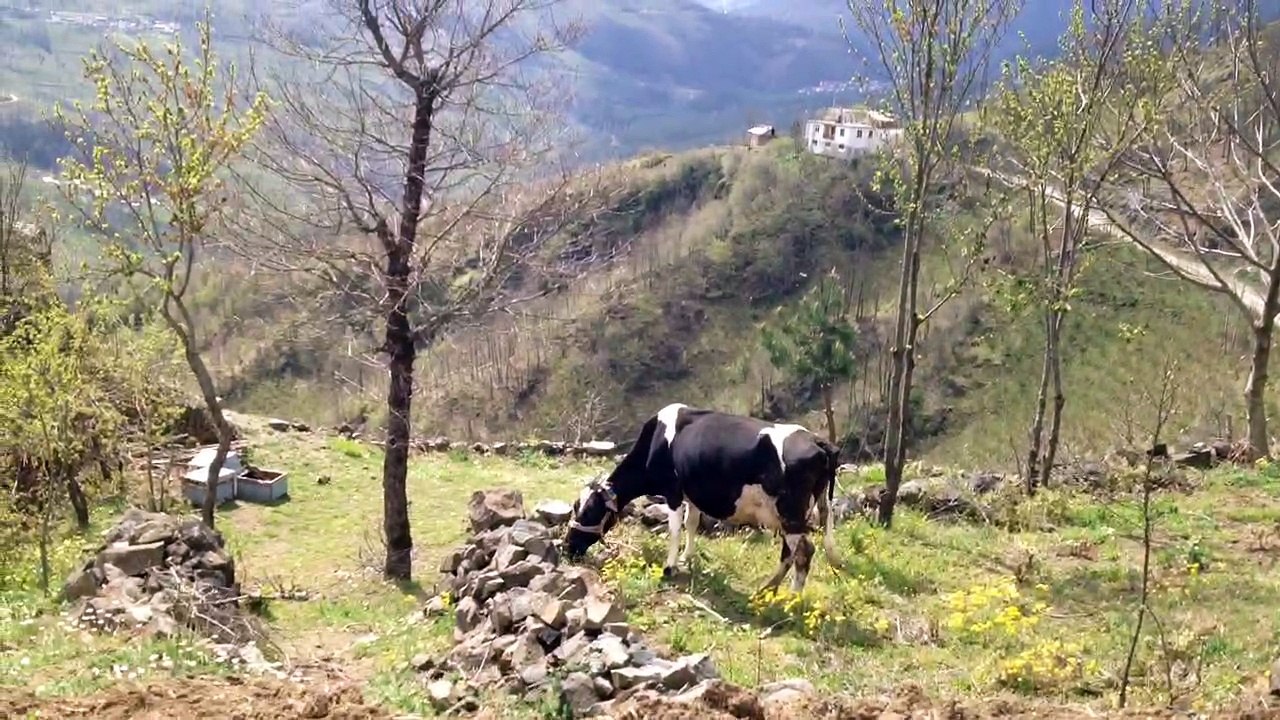 Mobile Capture 10 Nis 2014