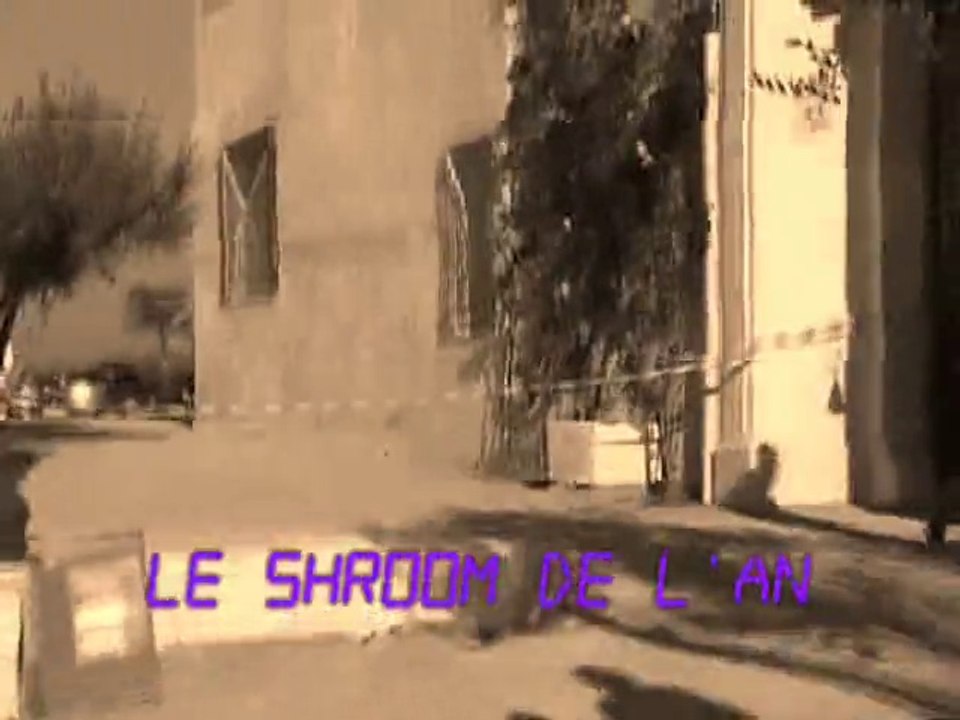 La shroom de l'An 2014 _2015