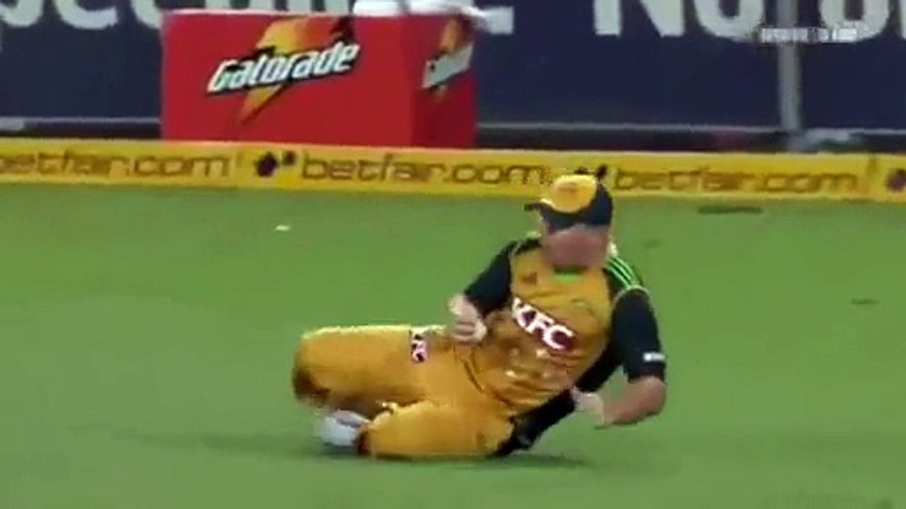 quot Amazing Catches in Cricket History quot By Brad Haddin SENSATIONAL CATCH