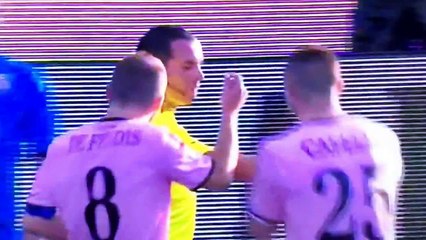 19 Giornata Serie A Cesena Torino