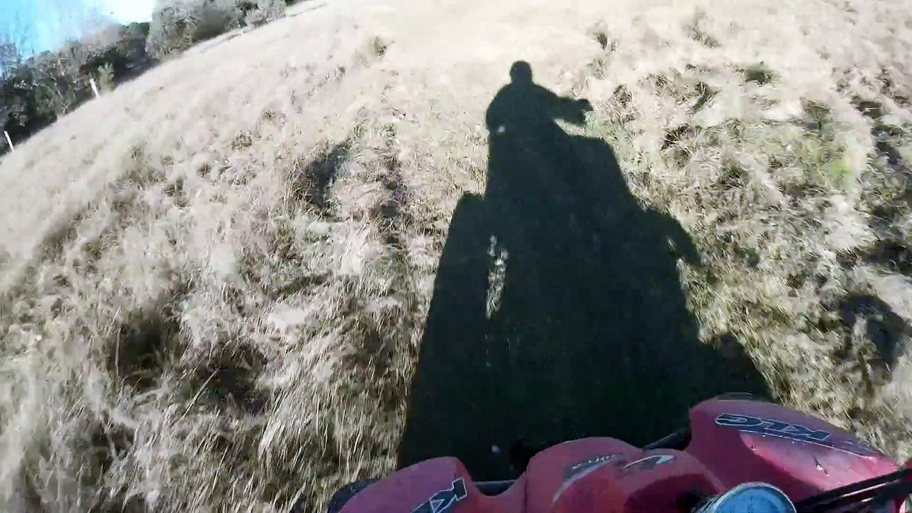 quad