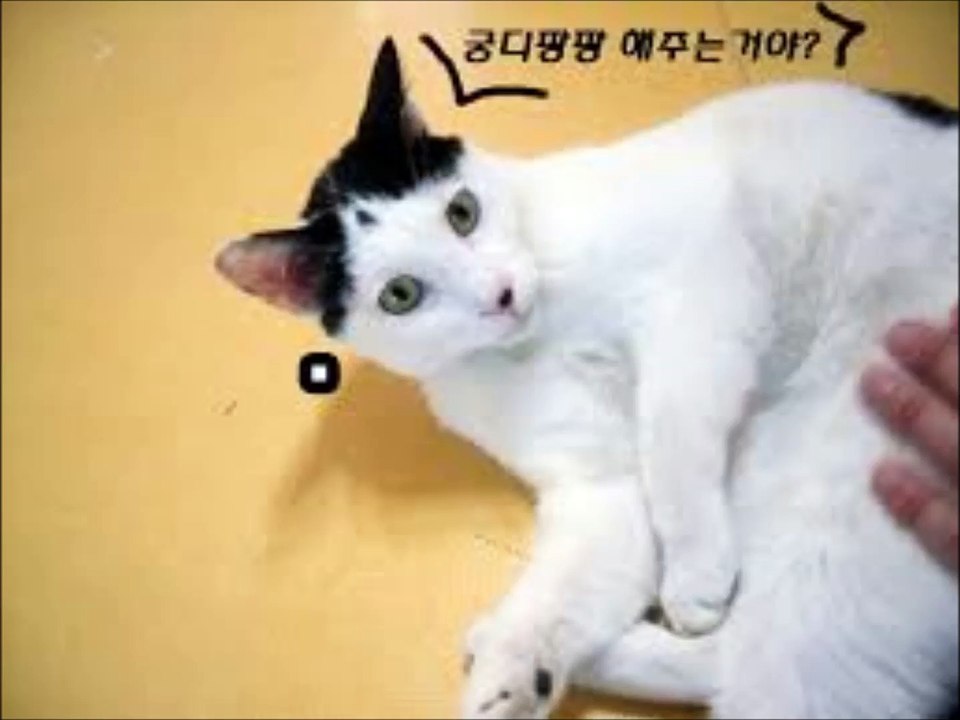 바카랏【 Ｗ­Ｏ­Ｗ­８­８­０。­Ｃ­Ｏ­Ｍ 】식보싸이트 (k팝스타)