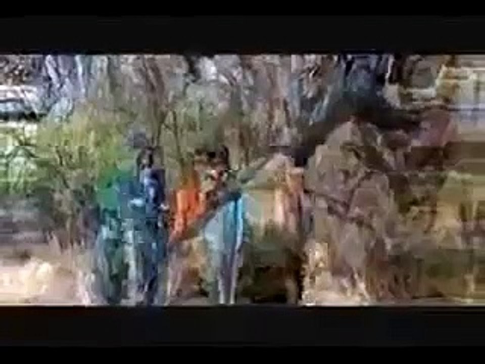 Lion attacking funny video _