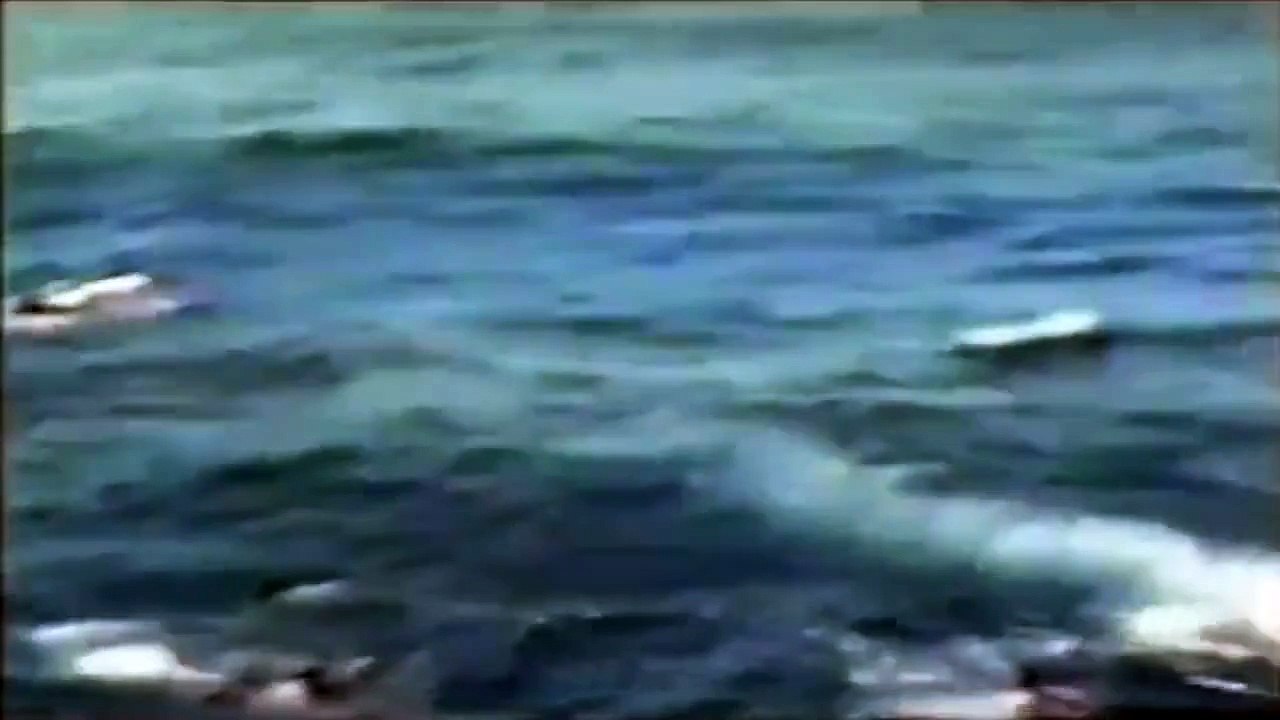 Shark ate women alive - Watch Video