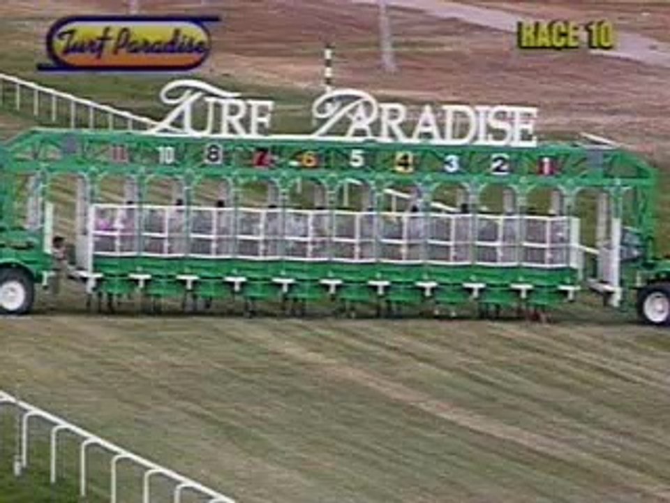 Horse racing oddity- jockey misjudges distance