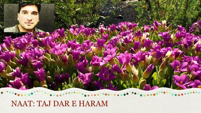 Taj Dar e Haram By Muhammad Awais Raza Qadri تاجدارِ حرم