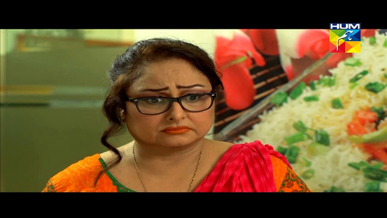Digest Writer Episode 16 Full HUM TV Drama Jan 17_ 2015