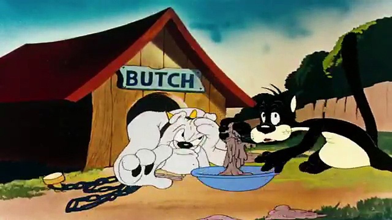 Bunny and the foxes