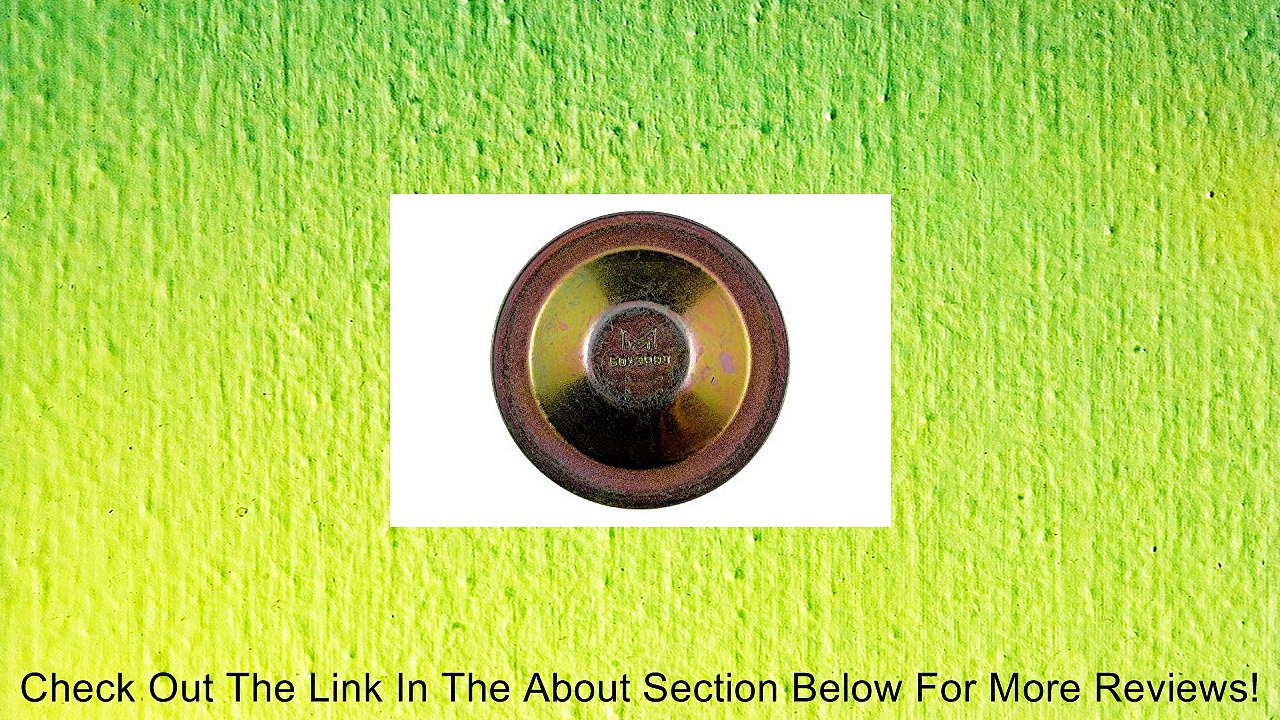 Dorman Help! 13990 Dust Cap Honda Review