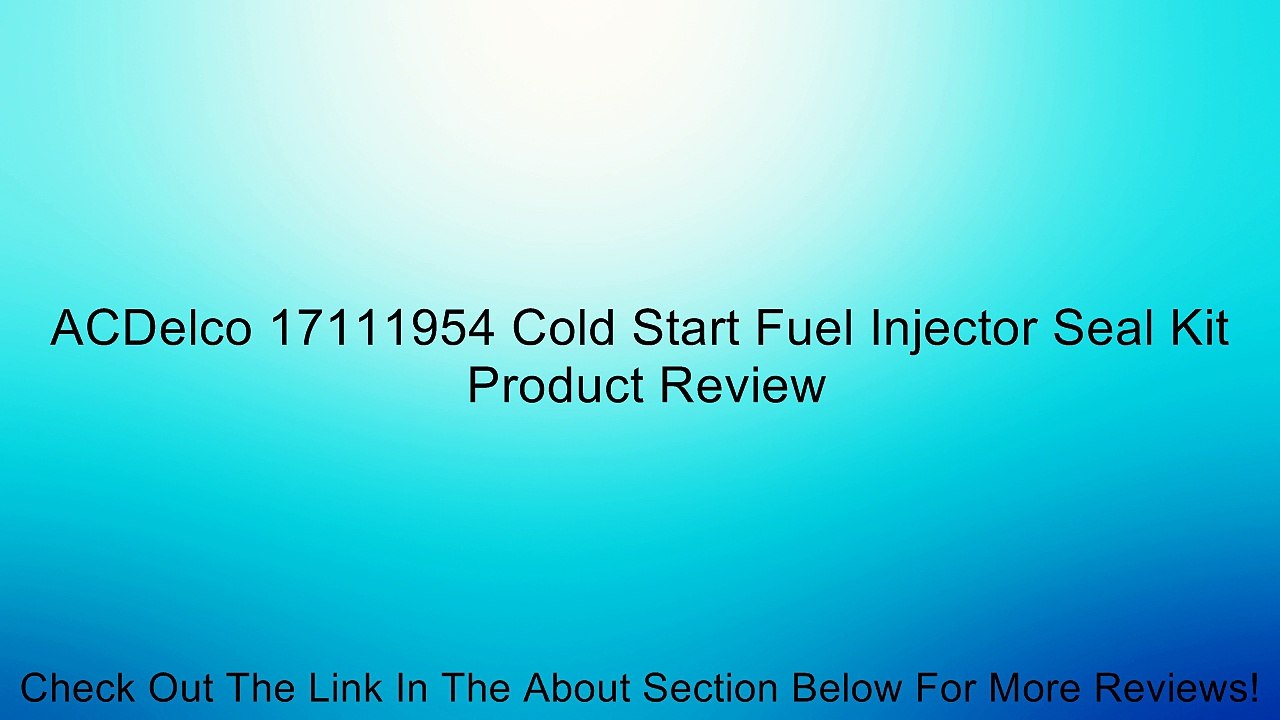 ACDelco 17111954 Cold Start Fuel Injector Seal Kit Review