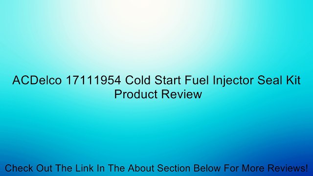 ACDelco 17111954 Cold Start Fuel Injector Seal Kit Review