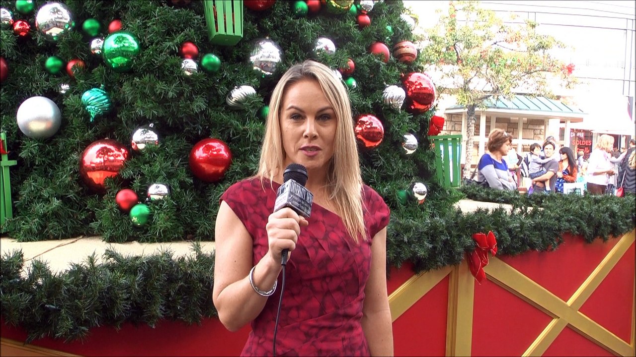STEVEN ESCOBAR, DIVERSITY NEWS MAGAZINE, TV, RADIO HOLIDAY COMMUNITY PUBLIC SERVICE ANNOUNCEMENT