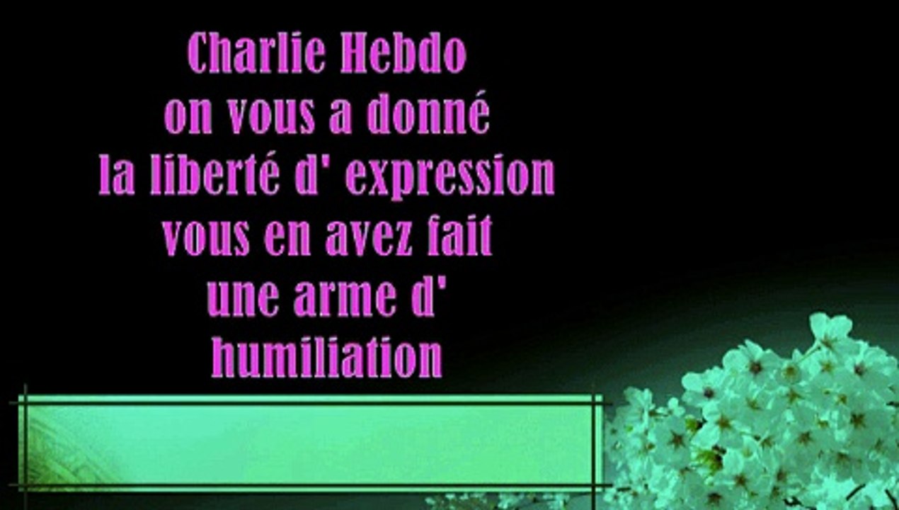 je suis charlie hebdo  ' caricatures grossières ....