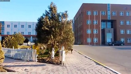 Qafqaz - bir sevinc bir xatirə..