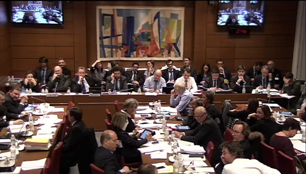 Commission spéciale PL croissance et activité (intervention sur le travail dominical - article 71)