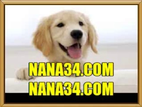 느바팁스터 버추어사커≪≪ ANC77닷OZ닷ST ≫≫ 샤넬벳 프로농구예상정보분석 버추어사커≪≪ ANC77닷OZ닷ST ≫≫ 샤넬벳 하키 경기 시간