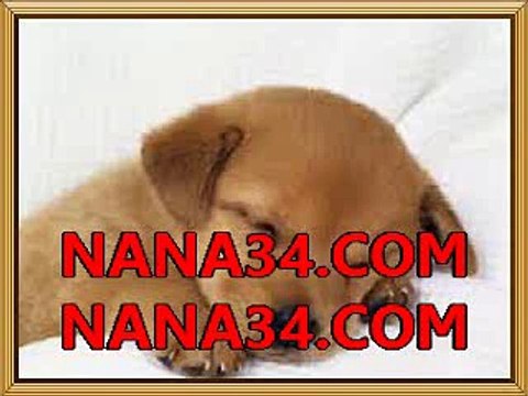 느바실시간중계 버추어사커≪≪ ANC77닷OZ닷ST ≫≫ 샤넬벳 프로농구해외배당흐름 버추어사커≪≪ ANC77닷OZ닷ST ≫≫ 샤넬벳 느바문자중계