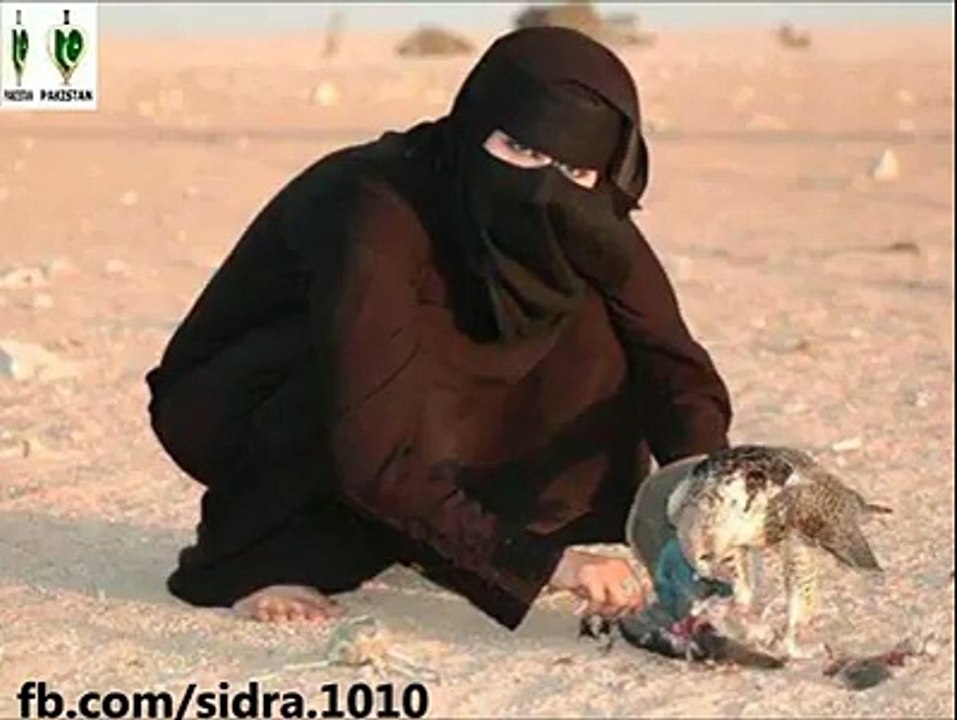 Islamic Information in very little time